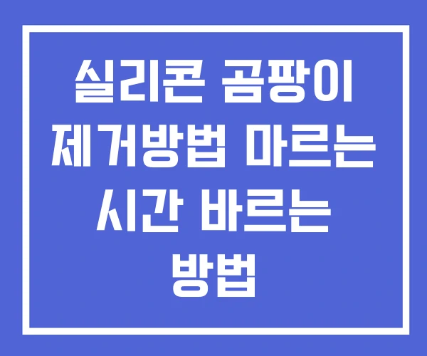실리콘 곰팡이 제거방법 마르는 시간 바르는 방법