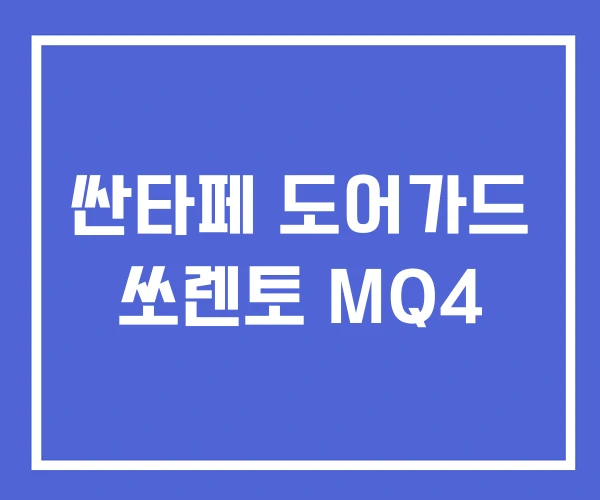 싼타페 도어가드 쏘렌토 MQ4