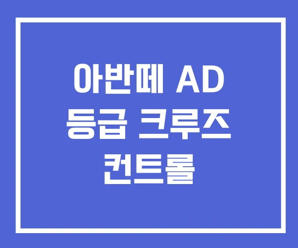 아반떼 AD 등급 크루즈 컨트롤