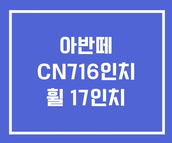 아반떼 CN716인치 휠 17인치