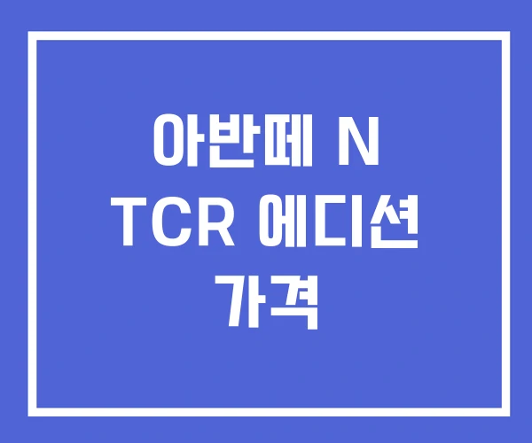 아반떼 N TCR 에디션 가격 아반떼 N TCR 에디션 가격