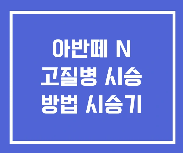 아반떼 N 고질병 시승 방법 시승기