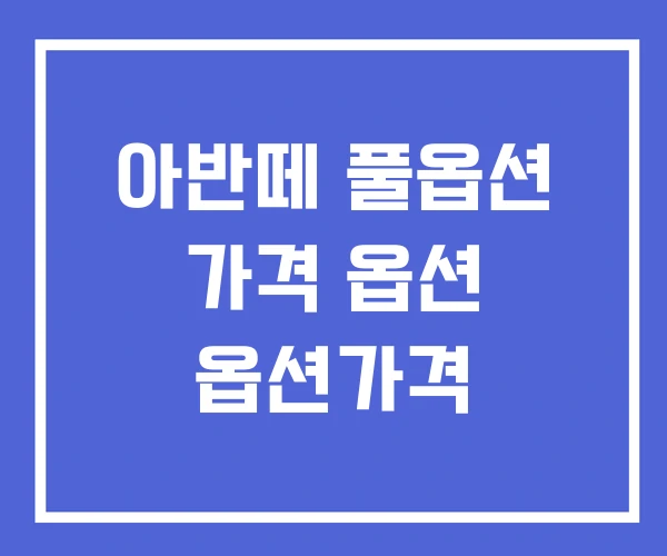 아반떼 풀옵션 가격 옵션 옵션가격