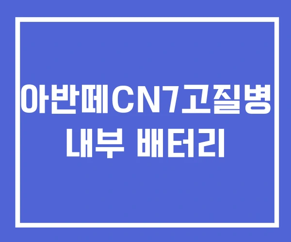 아반떼CN7고질병 내부 배터리