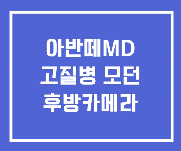 아반떼MD 고질병 모던 후방카메라