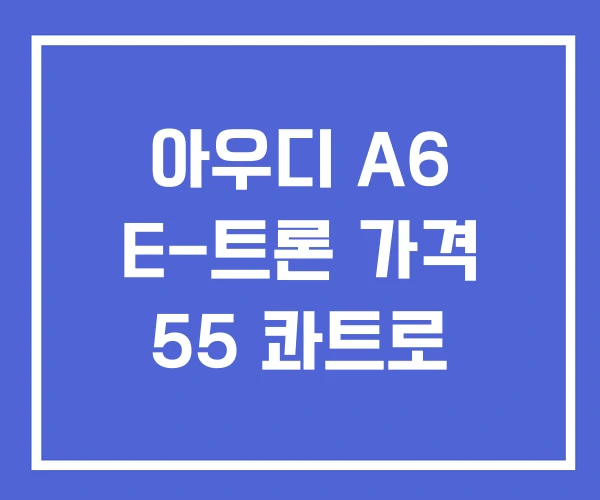 아우디 A6 E-트론 가격 55 콰트로