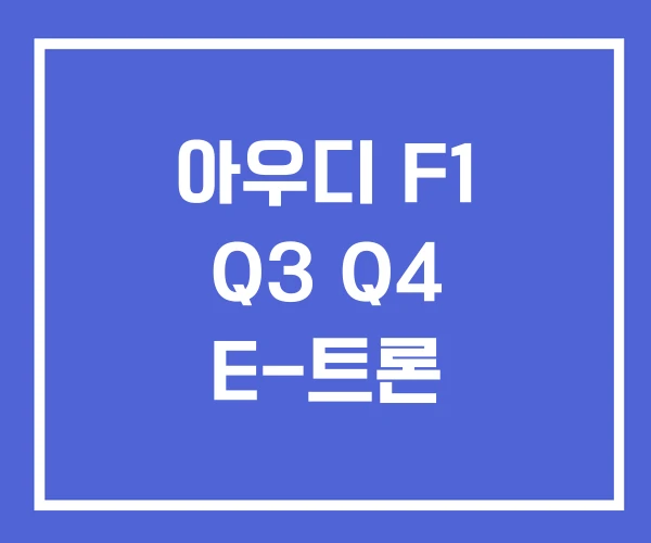 아우디 F1 Q3 Q4 E-트론