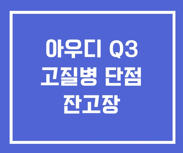 아우디 Q3 고질병 단점 잔고장 아우디 Q3 고질병 단점 잔고장