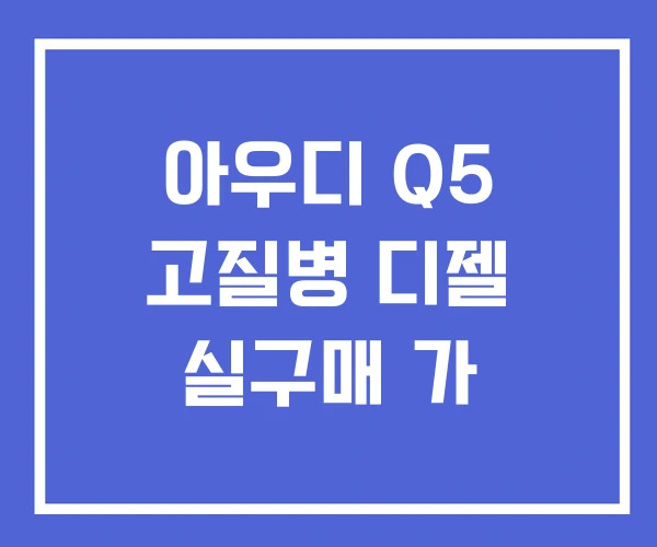 아우디 Q5 고질병 디젤 실구매 가