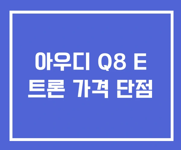 아우디 Q8 E 트론 가격 단점