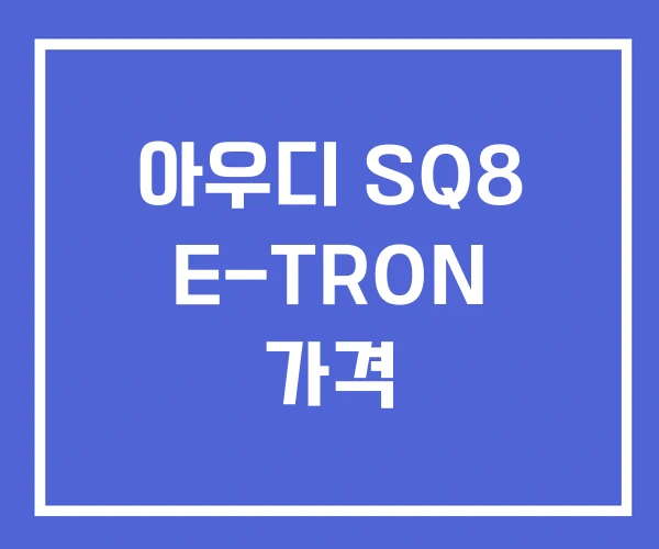 아우디 SQ8 E-TRON 가격