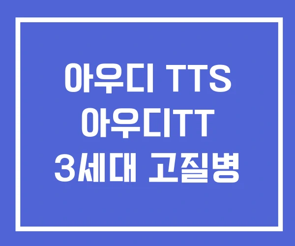 아우디 TTS 아우디TT 3세대 고질병