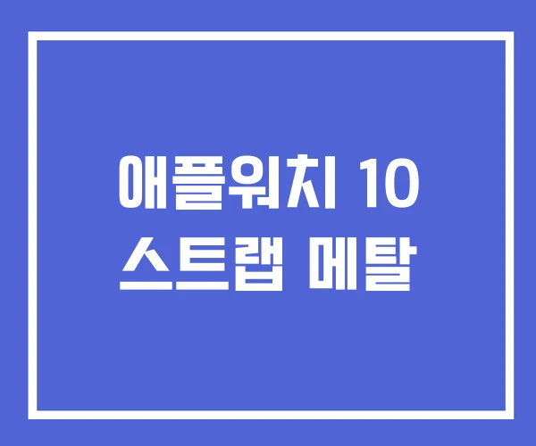 애플워치 10 스트랩 메탈
