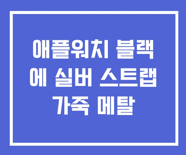 애플워치 블랙 에 실버 스트랩 가죽 메탈 애플워치 블랙 에 실버 스트랩 가죽 메탈