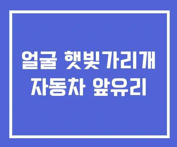 얼굴 햇빛가리개 자동차 앞유리