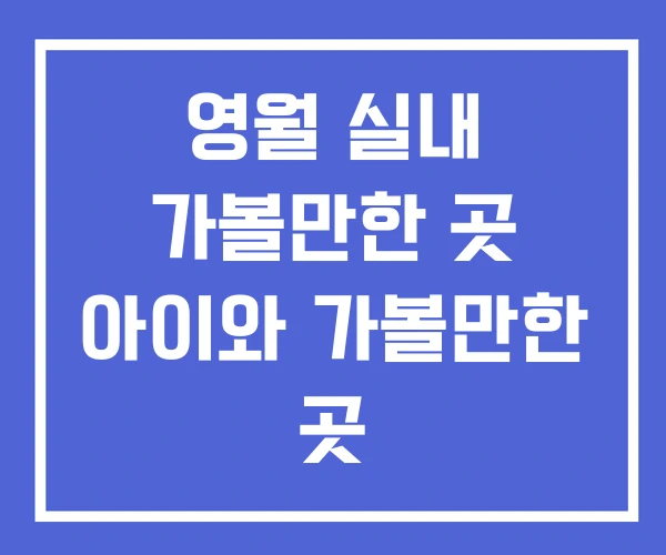 영월 실내 가볼만한 곳 아이와 가볼만한 곳