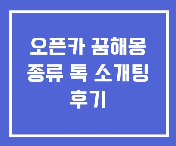 오픈카 꿈해몽 종류 톡 소개팅 후기