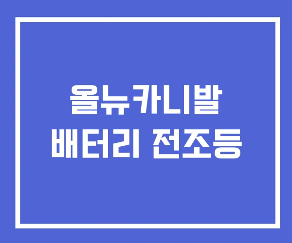 올뉴카니발 배터리 전조등