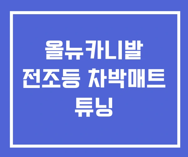 올뉴카니발 전조등 차박매트 튜닝