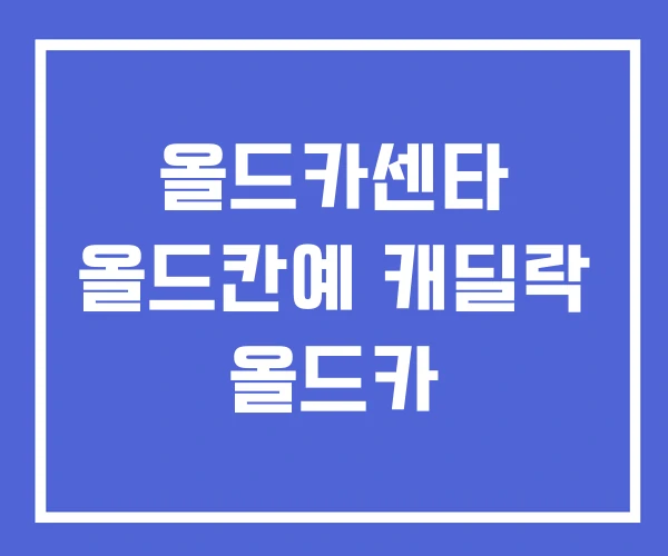 올드카센타 올드칸예 캐딜락 올드카