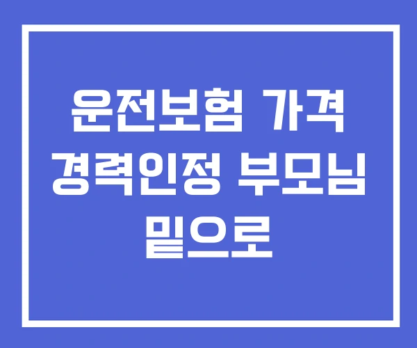 운전보험 가격 경력인정 부모님 밑으로