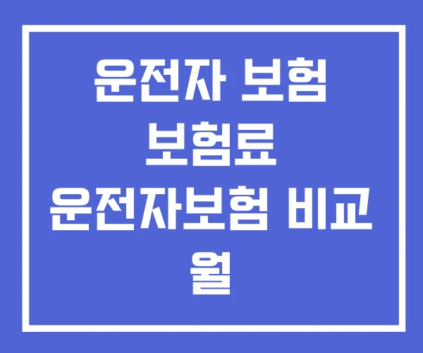운전자 보험 보험료 운전자보험 비교 월