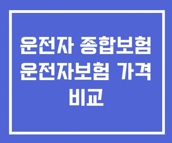 운전자 종합보험 운전자보험 가격 비교