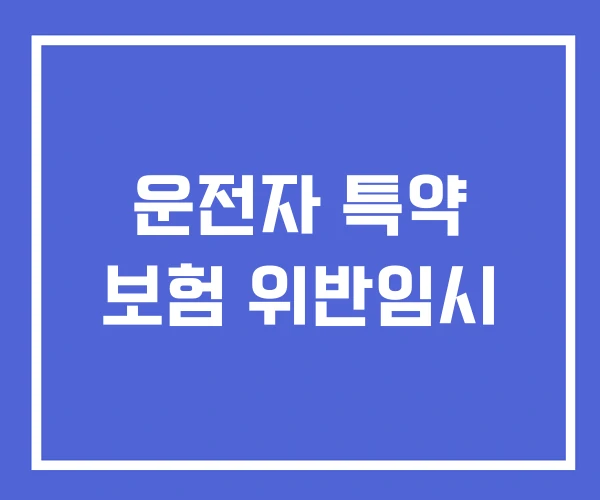 운전자 특약 보험 위반임시 운전자 특약 보험 위반임시