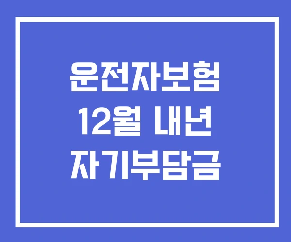 운전자보험 12월 내년 자기부담금