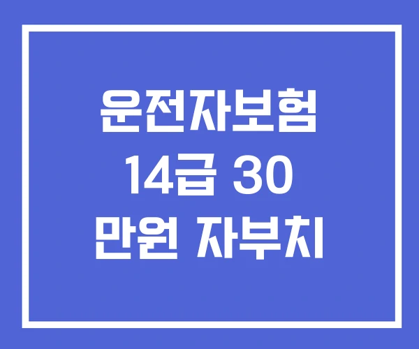 운전자보험 14급 30 만원 자부치