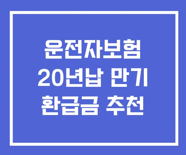 운전자보험 20년납 만기 환급금 추천