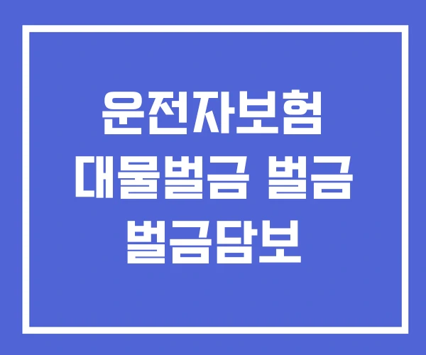 운전자보험 대물벌금 벌금 벌금담보