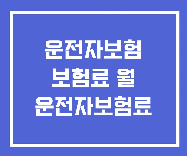 운전자보험 보험료 월 운전자보험료