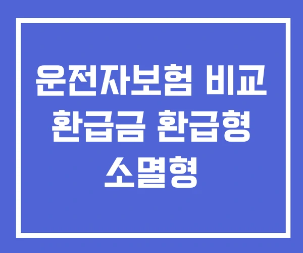 운전자보험 비교 환급금 환급형 소멸형