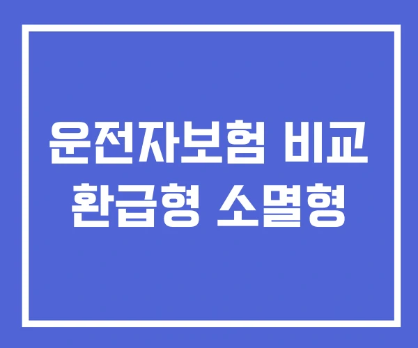 운전자보험 비교 환급형 소멸형