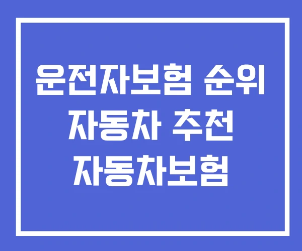 운전자보험 순위 자동차 추천 자동차보험