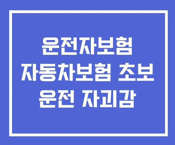 운전자보험 자동차보험 초보 운전 자괴감