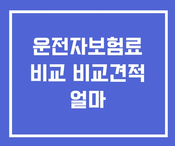 운전자보험료 비교 비교견적 얼마
