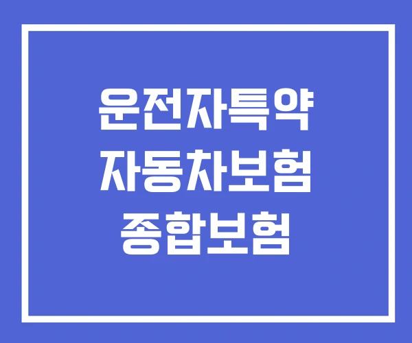 운전자특약 자동차보험 종합보험 운전자특약 자동차보험 종합보험