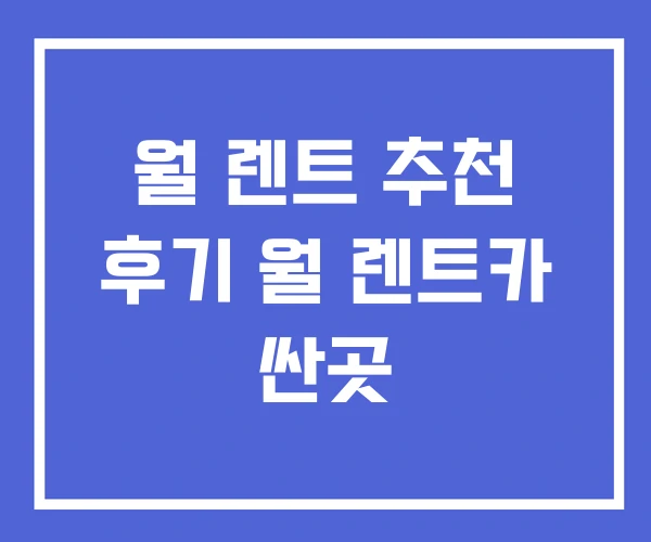 월 렌트 추천 후기 월 렌트카 싼곳