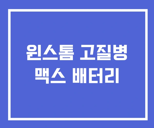 윈스톰 고질병 맥스 배터리 윈스톰 고질병 맥스 배터리
