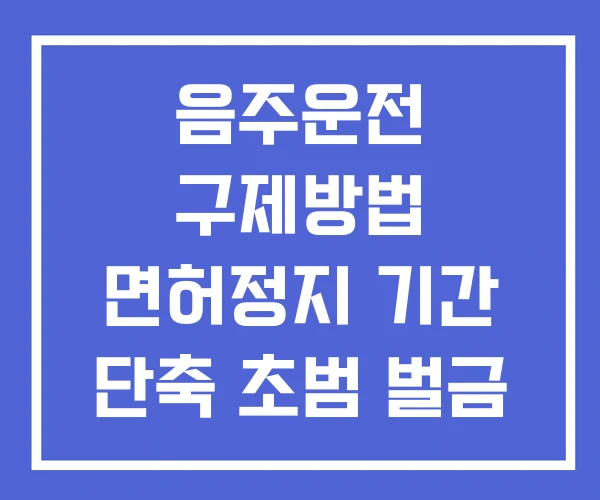 음주운전 구제방법 면허정지 기간 단축 초범 벌금