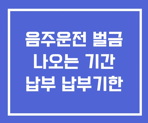 음주운전 벌금 나오는 기간 납부 납부기한 음주운전 벌금 나오는 기간 납부 납부기한
