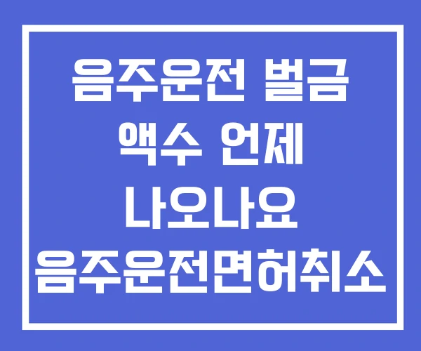 음주운전 벌금 액수 언제 나오나요 음주운전면허취소 수치