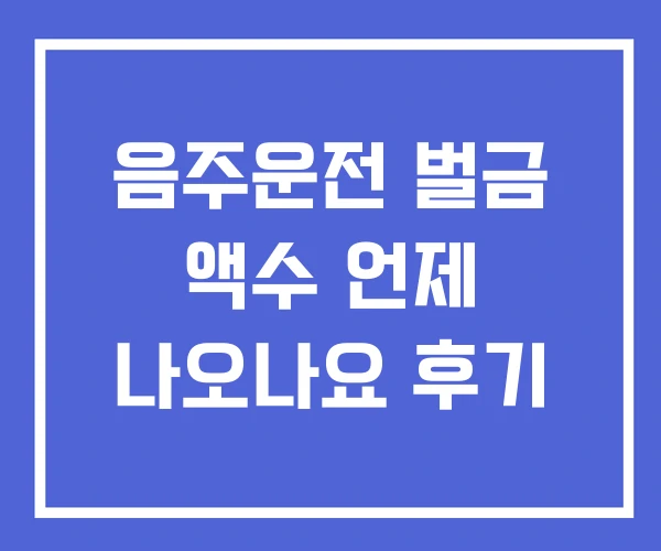 음주운전 벌금 액수 언제 나오나요 후기