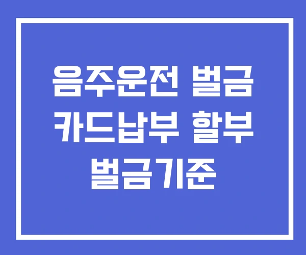 음주운전 벌금 카드납부 할부 벌금기준 음주운전 벌금 카드납부 할부 벌금기준