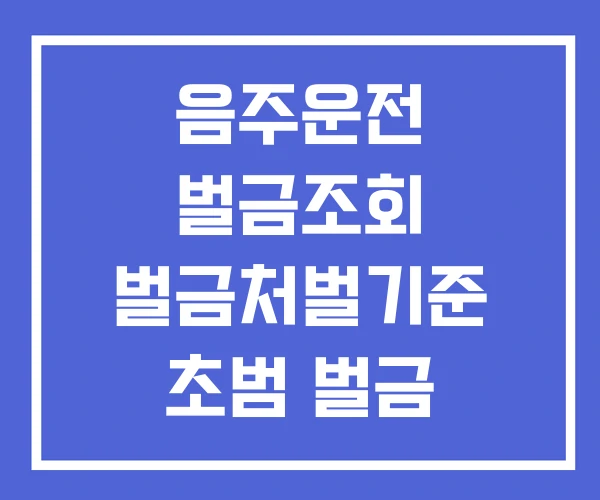 음주운전 벌금조회 벌금처벌기준 초범 벌금 음주운전 벌금조회 벌금처벌기준 초범 벌금