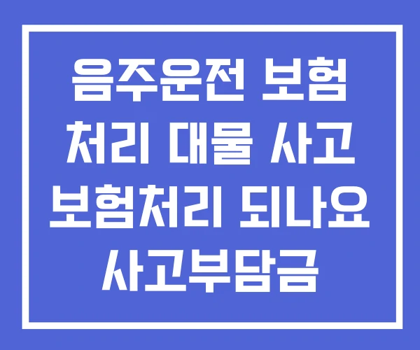 음주운전 보험 처리 대물 사고 보험처리 되나요 사고부담금