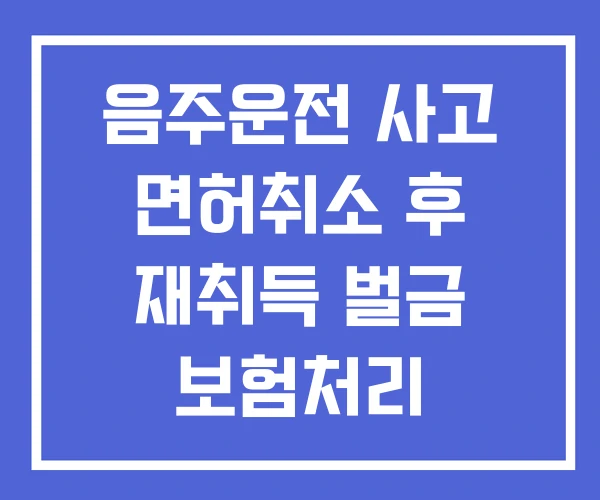 음주운전 사고 면허취소 후 재취득 벌금 보험처리 음주운전 사고 면허취소 후 재취득 벌금 보험처리