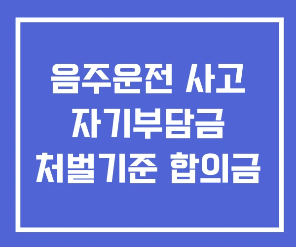 음주운전 사고 자기부담금 처벌기준 합의금 음주운전 사고 자기부담금 처벌기준 합의금